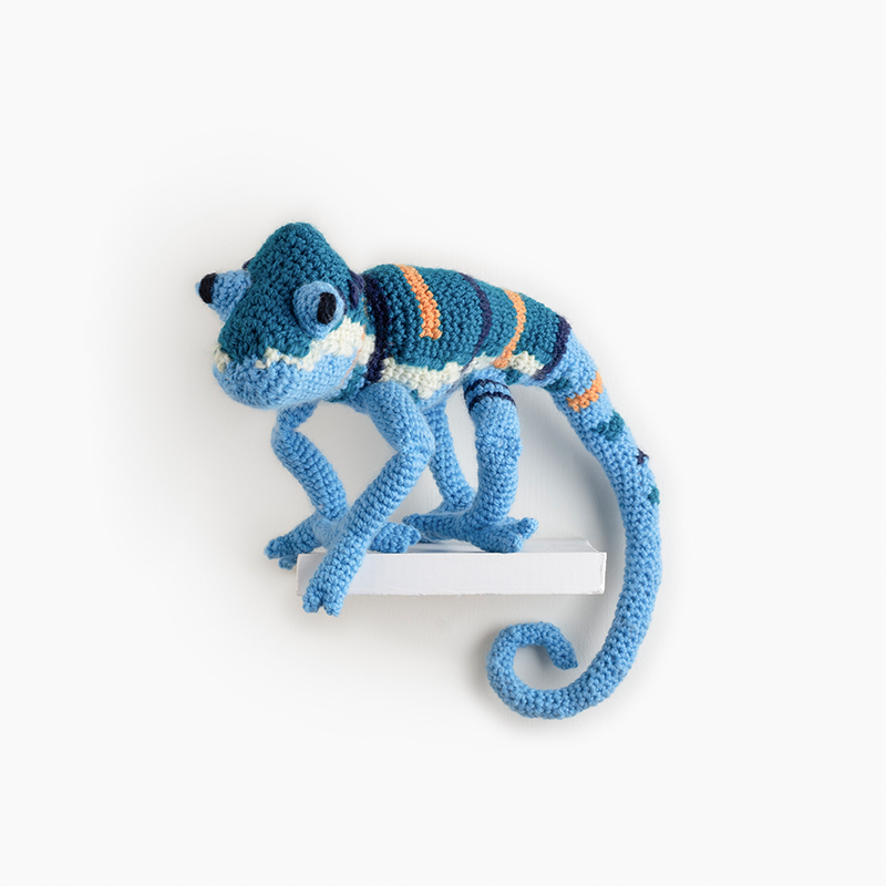 Coral Toad
